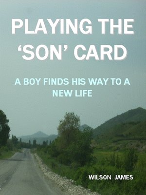 cover image of Playing the 'Son' Card